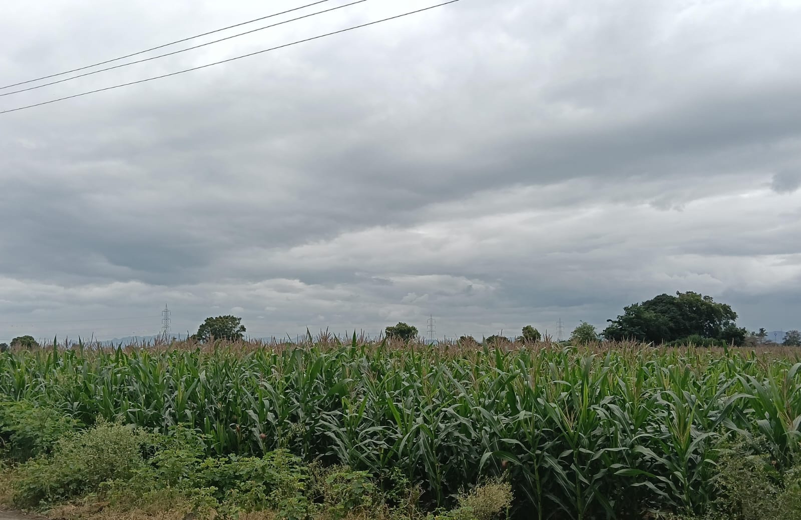 गावाची प्रतिमा